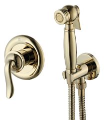 Смеситель BRAVA встраиваемый LM4719G с гигиеническим душем