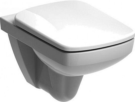 Унитаз SPECIAL RIMFREE [53см] подвесной квадратный RP731100200  БЕЗ КРЫШКИ