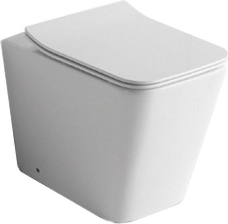 Унитаз приставной NS-3170