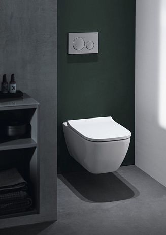 Комплект GEBERIT SMYLE 4в1 500.300.21.S (111.300.00.5, 115.770.21.5, 111.815.00.1, 500.683.01.1) *