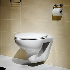 Унитаз VICTORIA (34630300R, ZRU9302919) подвесной, крышка-сиденье VICTORIA NORD микролифт, тонкое*