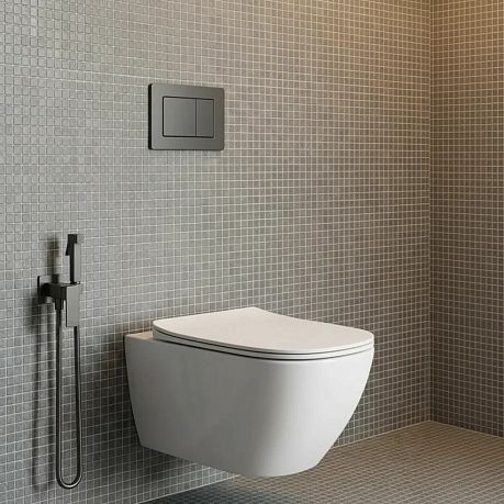 Унитаз подв. безобод. HYGIENE AQM2020PRO-H смыв Invisible, кр-ка/сид плавное закрытие 515х360х350*